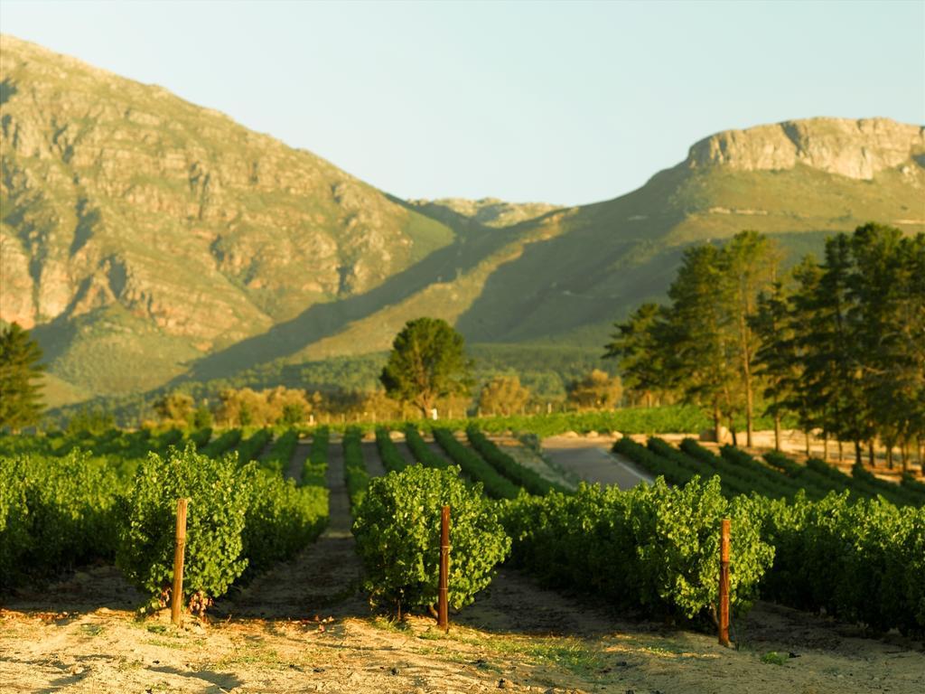 Diemersfontein Wine & Country Estate Wellington Luaran gambar
